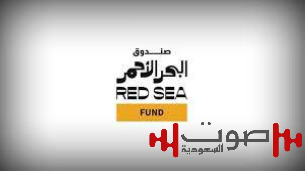 «صندوق البحر الأحمر»: بدء التقديم لدعم المشاريع السينمائية