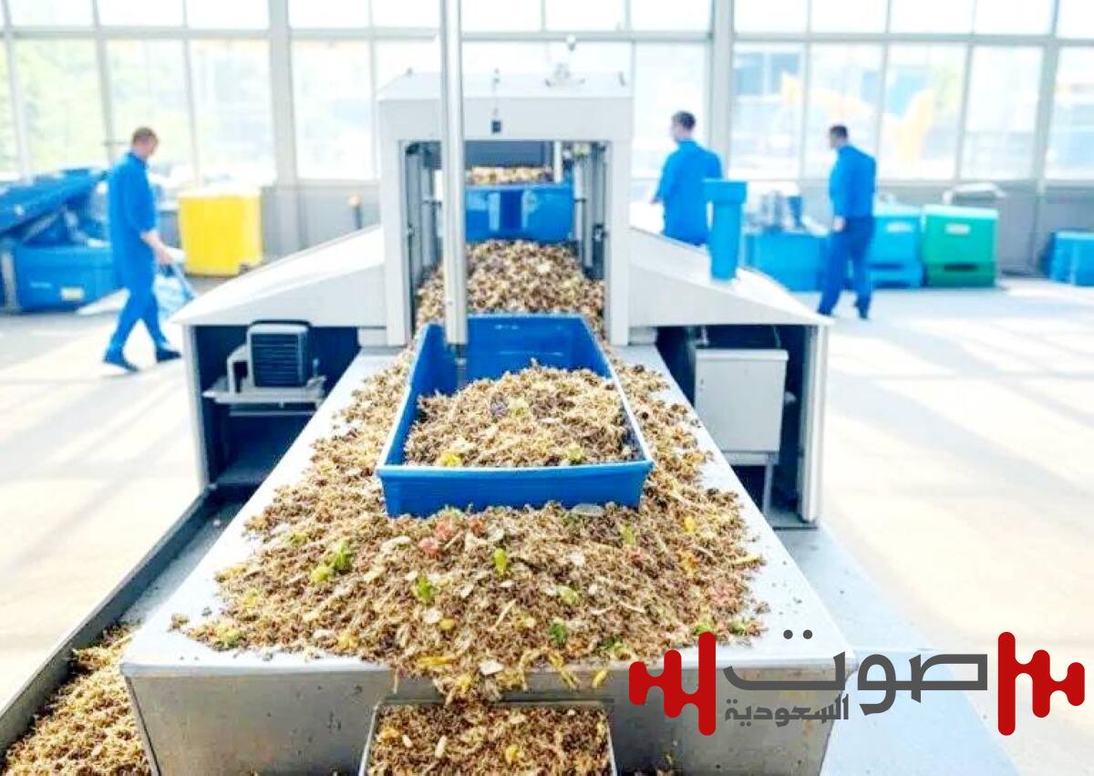 خطة شاملة تحوّل النفايات الزراعية من عبء بيئي إلى ثروة