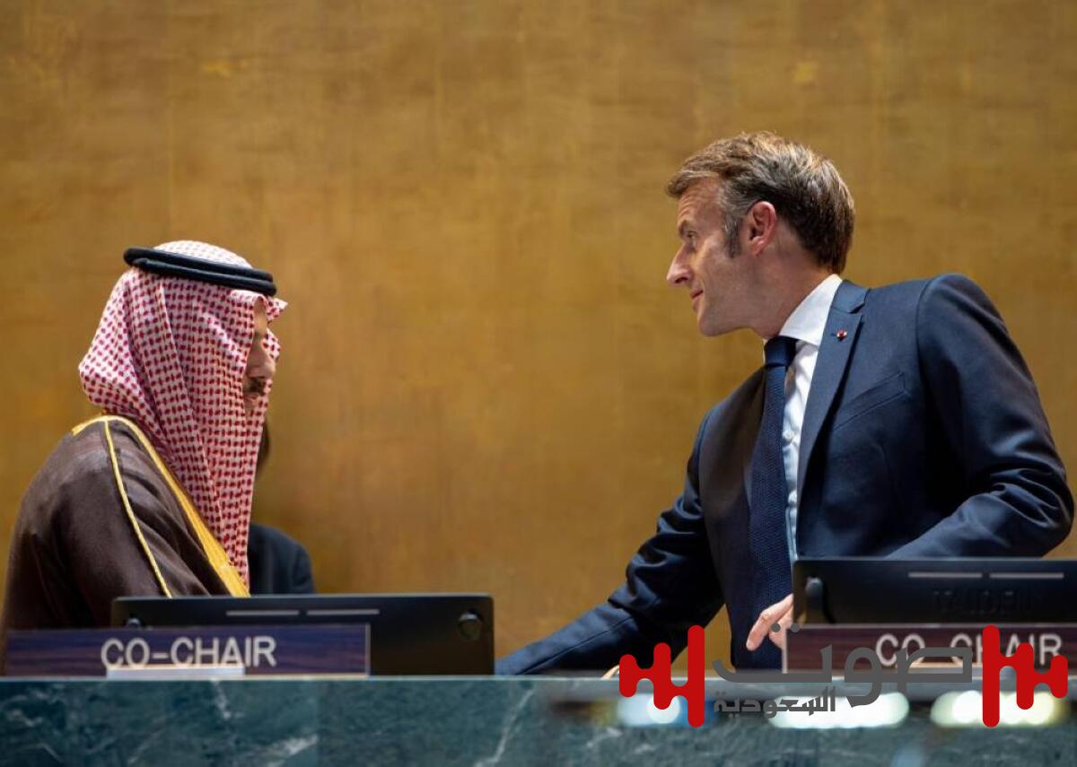 أستاذ قانون دولي يكشف لـ «عكاظ» دلالات الاعترافات الدولية بفلسطين