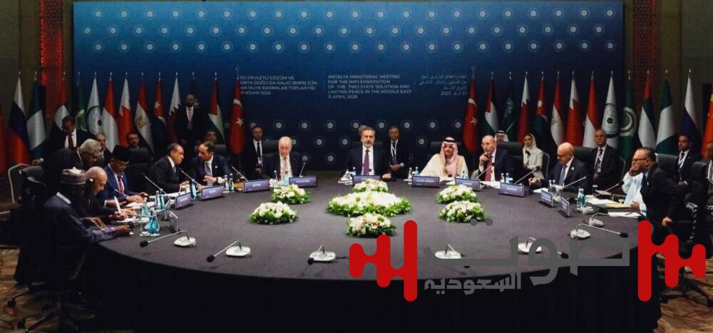 مجموعة الاتصال الوزارية بشأن غزة تدعو لوقف النار ورفض التهجير