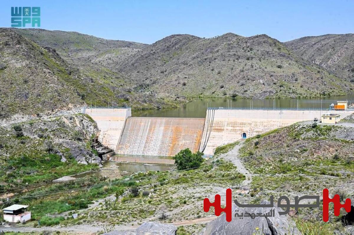 مؤسسة «الري» تُصرف 5 ملايين متر مكعب من مياه سد «ثراد»