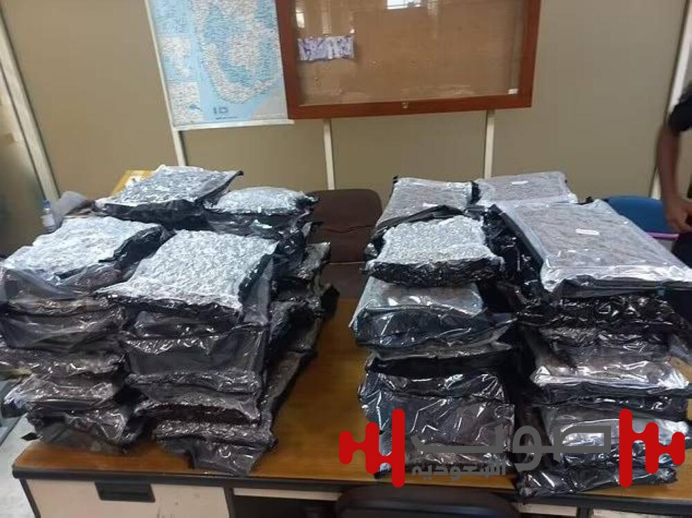 كيف نجت بريطانية من السجن رغم تهريب 22 كيلو حشيش؟