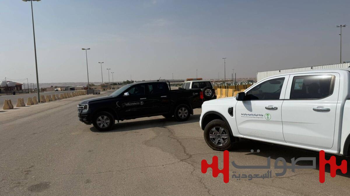 «بيئة الرياض» توقف مزاداً غير نظامي للإبل وتحذر: لا مكان للأنشطة المخالفة