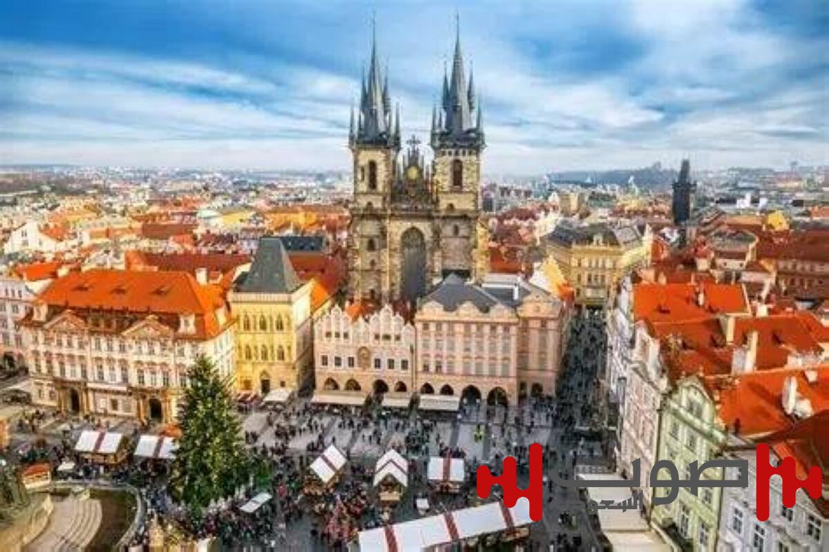 نزهة تحولت إلى كنز.. امرأة تعثر على 2150 قطعة عملة فضية نادرة في التشيك