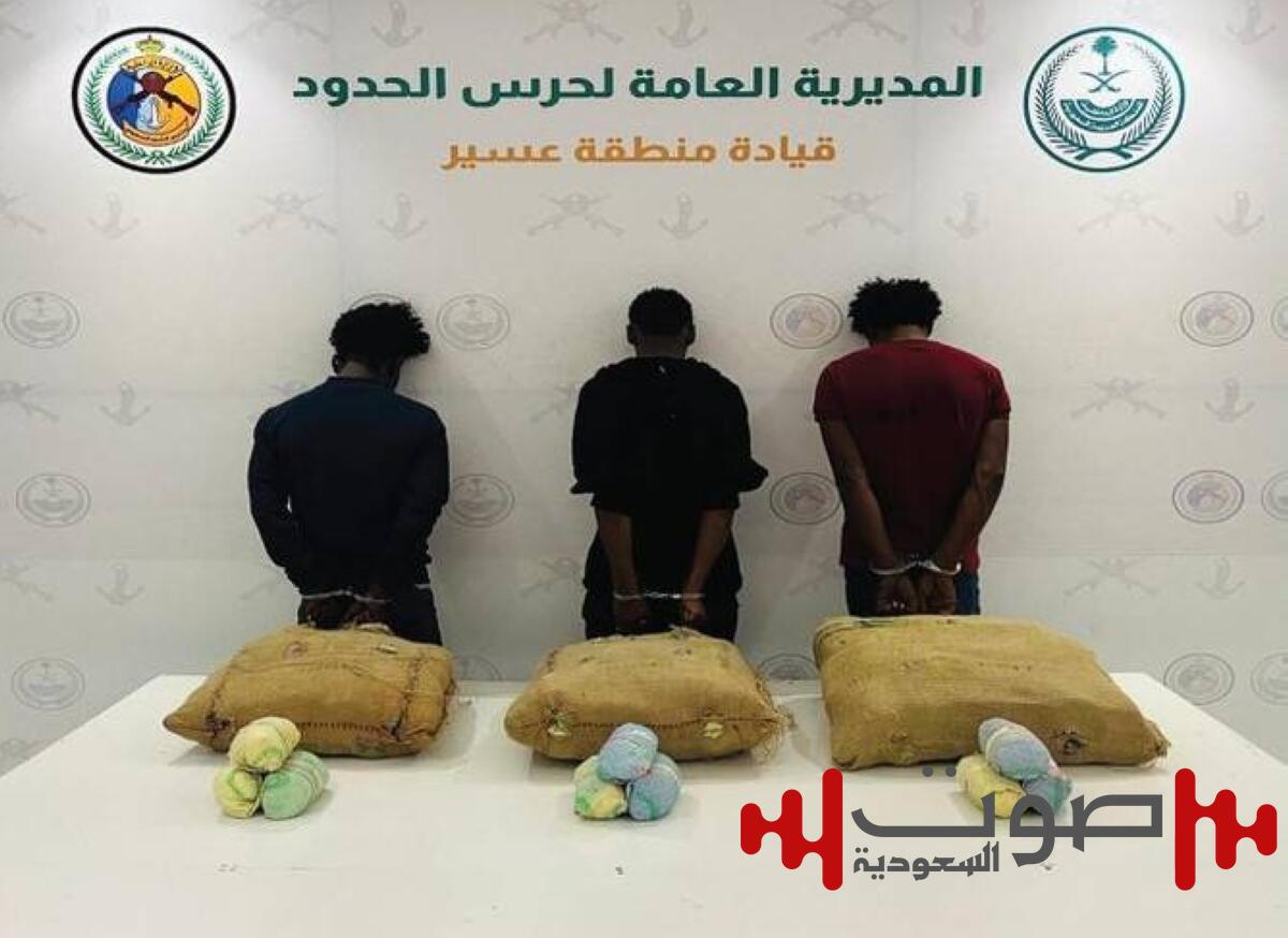 القبض على (3) مخالفين لتهريبهم (72) كيلوجرامًا من نبات القات المخدر