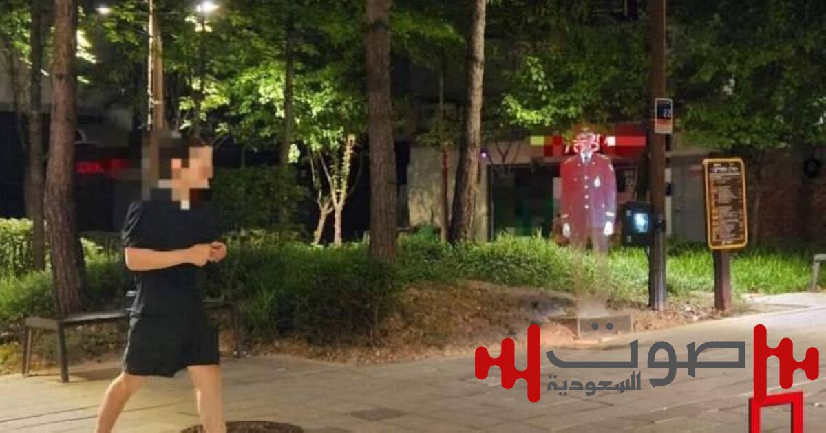 كوريا الجنوبية تنشر ضباط شرطة «افتراضيين» لبث الأمن