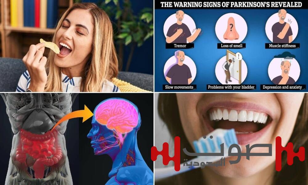 الأطعمة المصنّعة تُهدد دماغك.. دراسة تربطها بمرض باركنسون