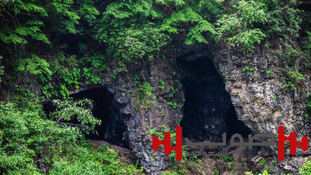 حياة بدائية.. عائلة روسية تتحدى العالم في كهف هندي