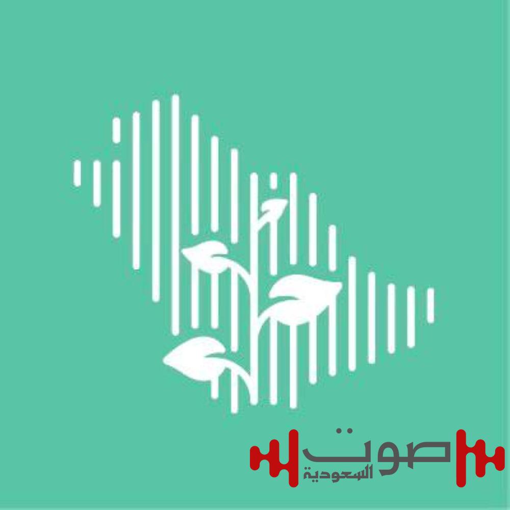 ترسيخاً لثقافة العمل البيئي.. الاحتفاء بيوم مبادرة السعودية الخضراء
