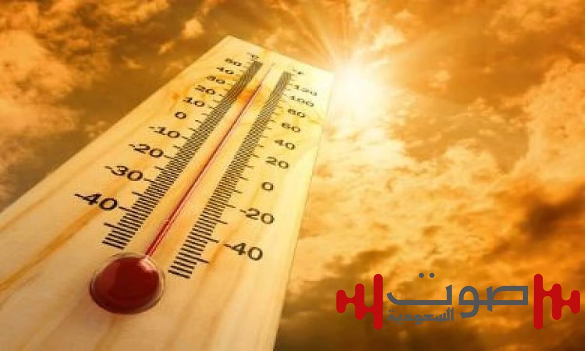 1300 وفاة نتيجة موجة حر شديدة ضربت البرتغال