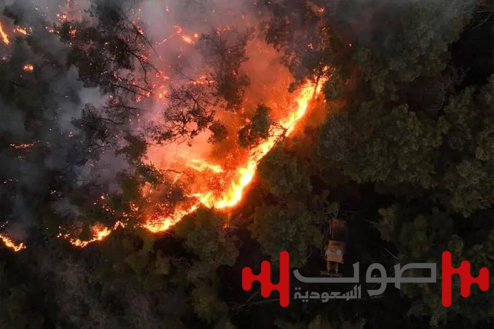 سورية تطلب مساعدة أوروبا في إخماد الحرائق