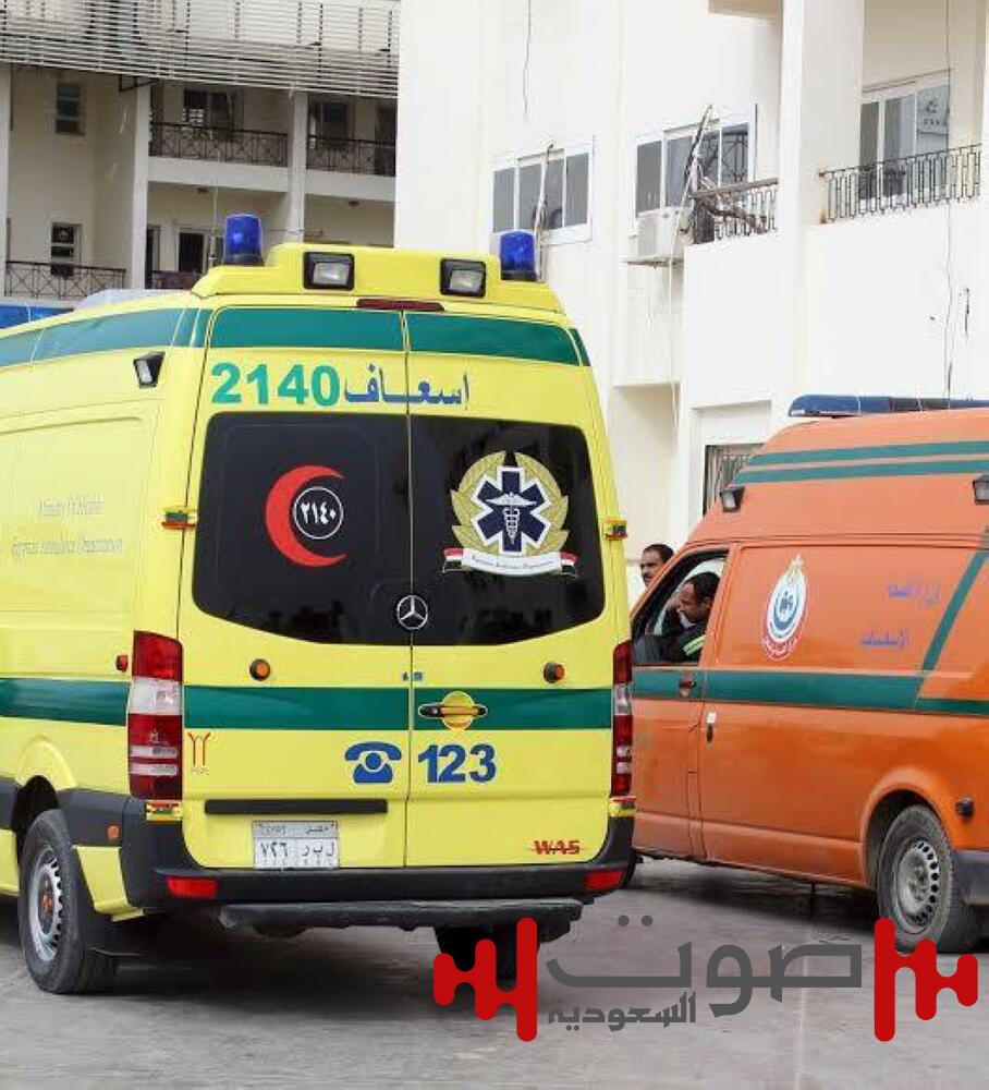 «أم» تقتل أبناءها الثلاثة خنقاً في «القليوبية»