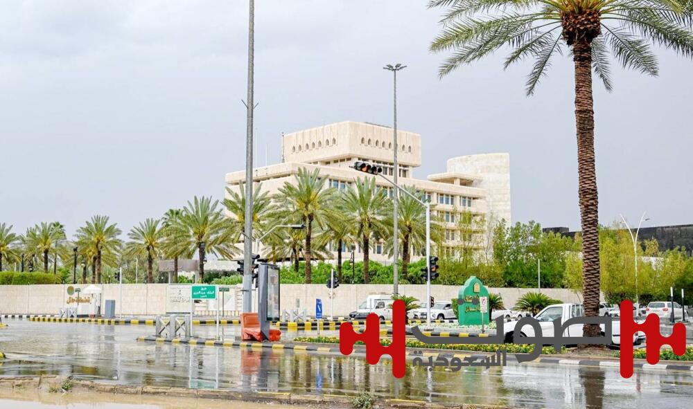 «البيئة» ترصد الهطول في 8 مناطق.. وتيماء الأعلى بـ10.8 ملم