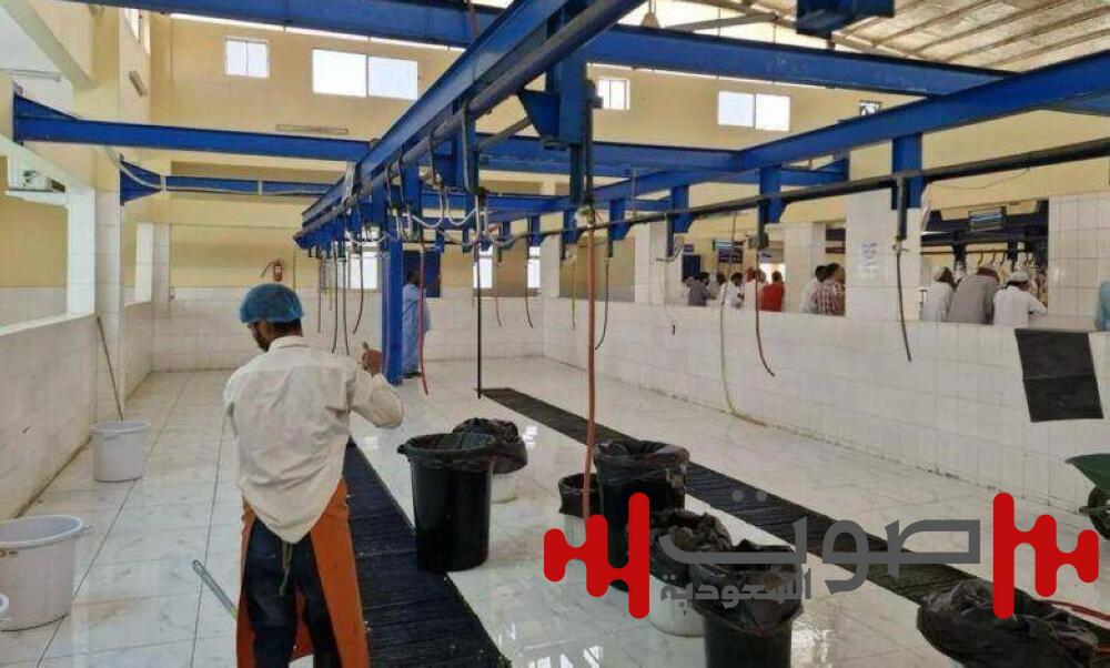 6,594 أضحية في مسالخ نجران خلال عيد الأضحى