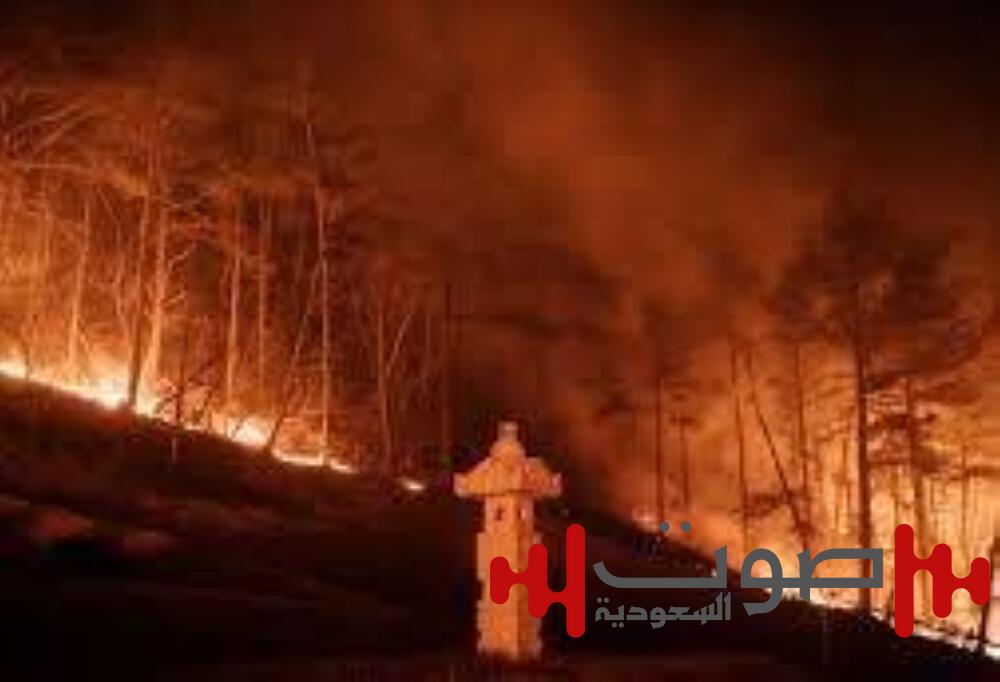 الشرطة الكورية الجنوبية تعتقل رجلاً أشعل حرائق الغابات