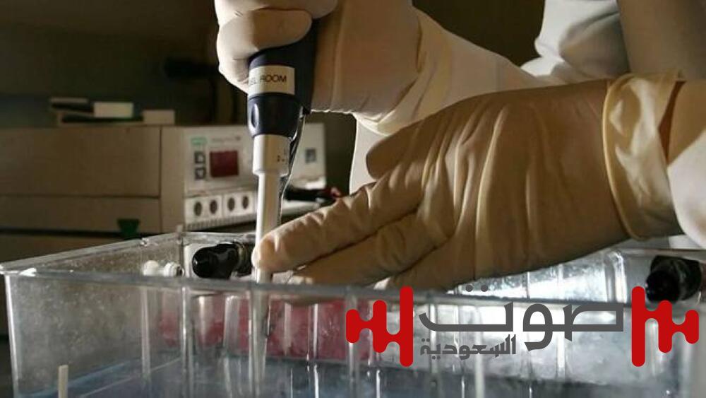 اكتشاف بكتيريا تعزّز العلاج المناعي للسرطان