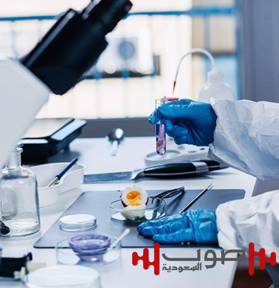 ربط إلكتروني بين «الأمن الغذائي» والشركات