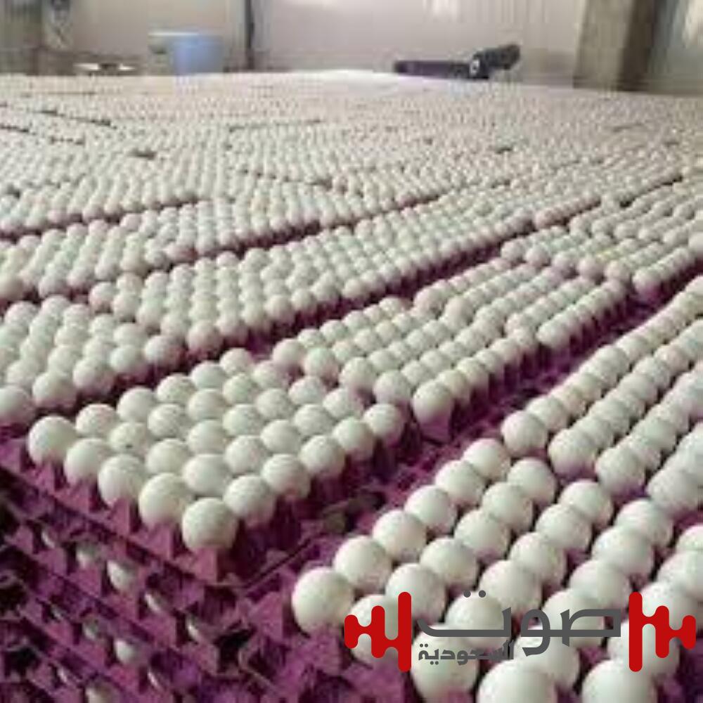 بأكبر نسبة في 10 سنوات.. أسعار البيض بأمريكا ترتفع 53%