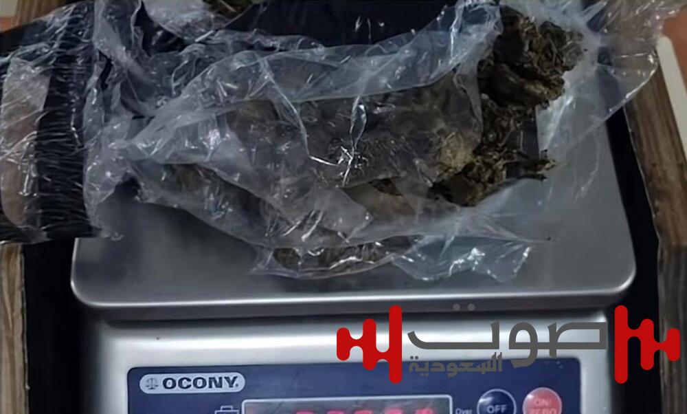 ضبط «قطة» تهرّب المخدرات إلى سجن في كوستاريكا