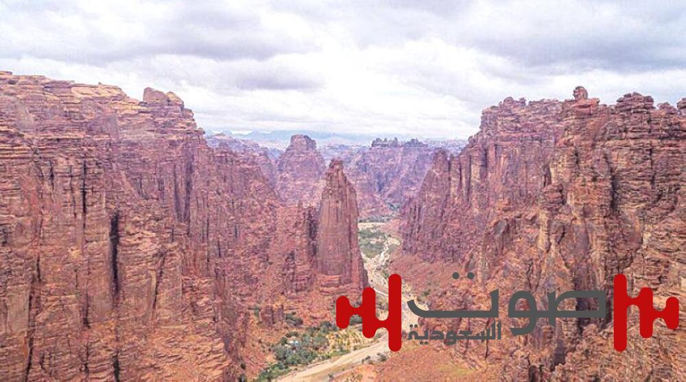 4 برامج ماجستير للسعوديين في إسبانيا وسويسرا للتأهيل في منشآت السياحة