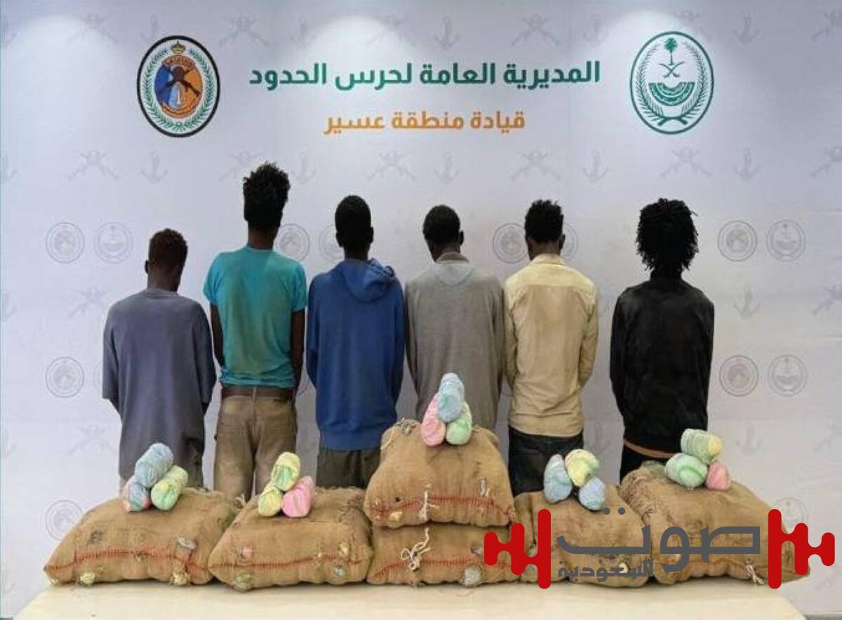 عسير: القبض على 6 مخالفين لتهريبهم 90 كيلوجراماً من نبات القات