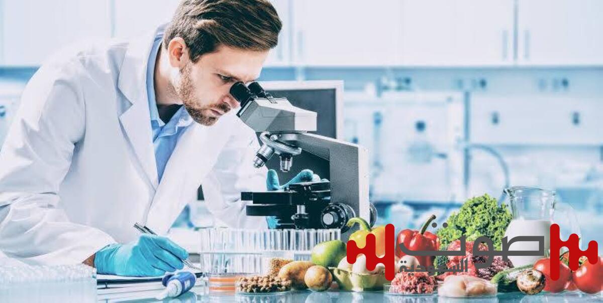 صدمة لعشاق الجبن والموز.. 5 أطعمة تسرق طاقتك اليومية