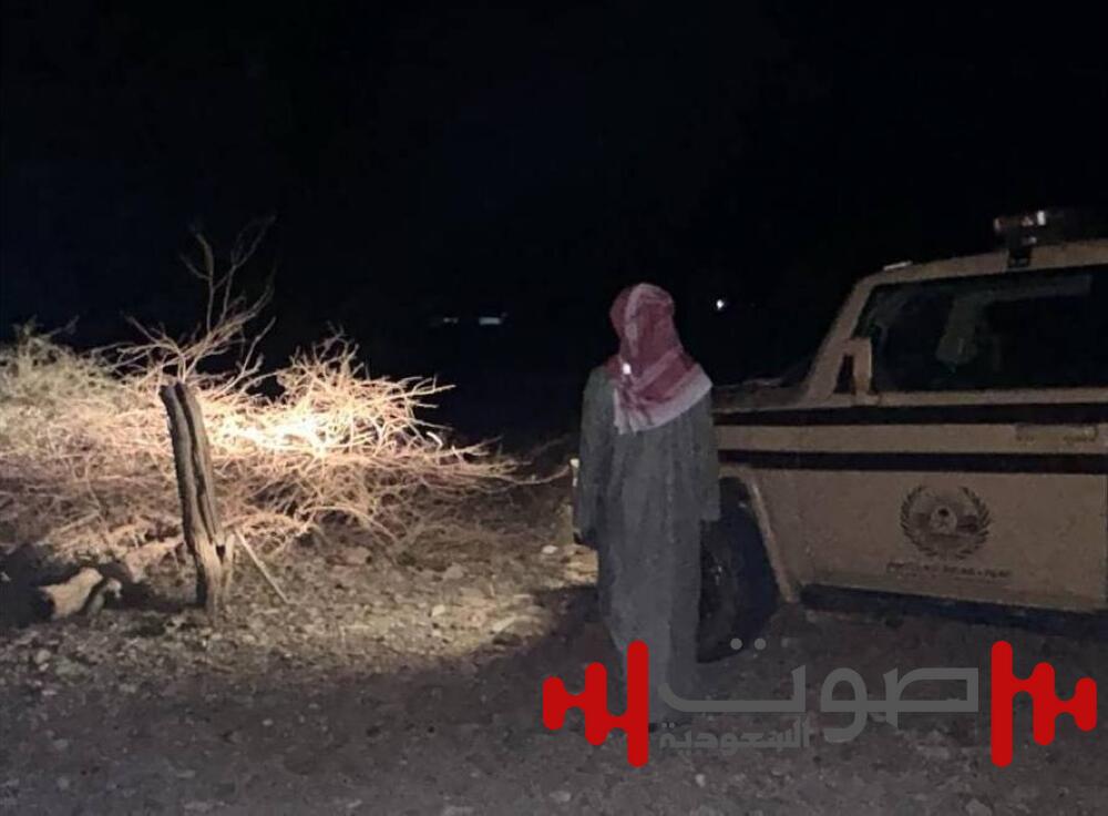 ضبط مواطن مخالف لاقتلاعه الأشجار دون ترخيص في المدينة المنورة