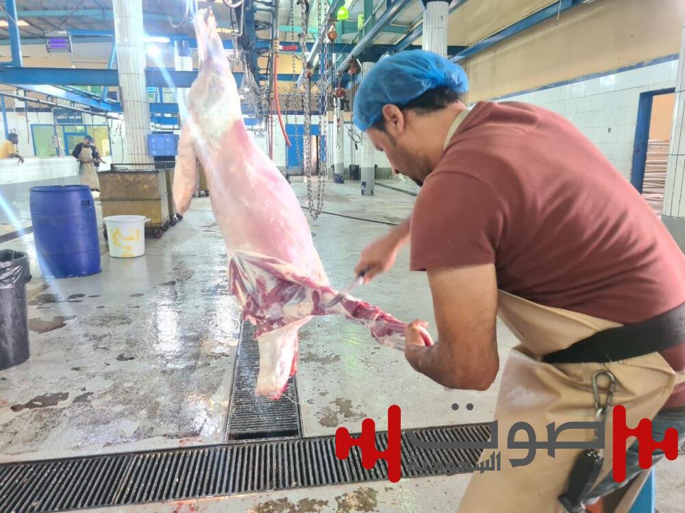 عسير: 18,223 أضحية.. وإتلاف 602 كغم.. وتحرير 25 مخالفة