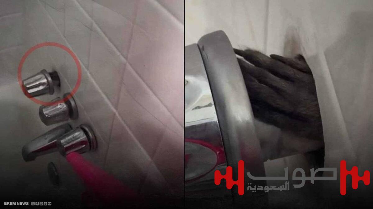 يد تفاجئ سائحاً خلف صنبور حمّام فندق !