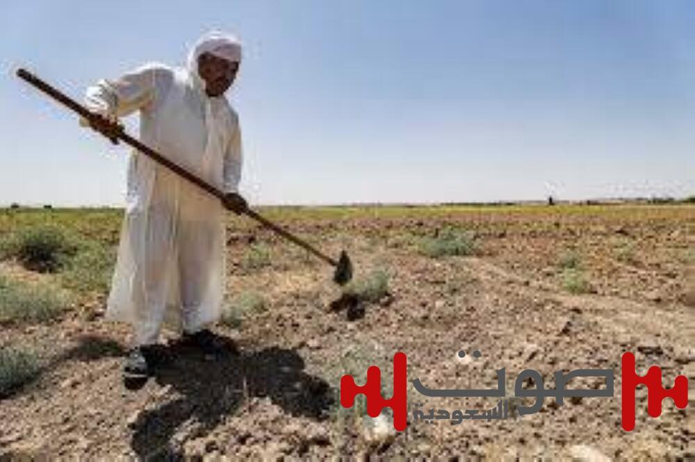 العراق: التصحر التهم نصف البلاد وبغداد «لا تصلح للعيش»