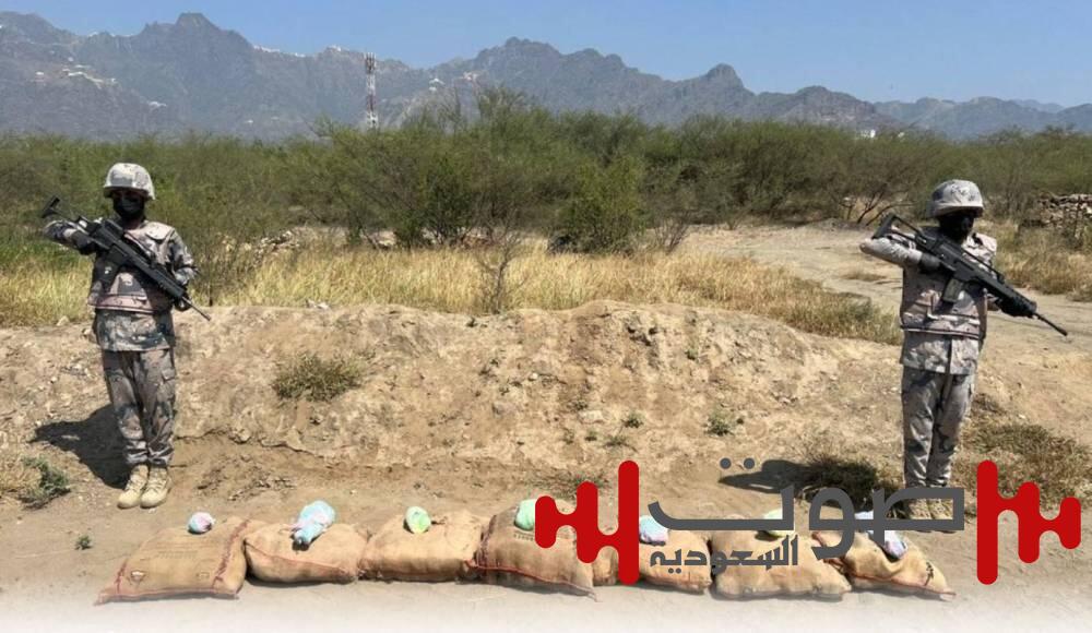 براً وبحراً وجواً.. «المنافذ الجمركية»: 1350 حالة ضبط للممنوعات خلال أسبوع