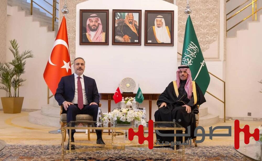 وزير الخارجية يبحث مع نظيره التركي المستجدات الإقليمية والدولية