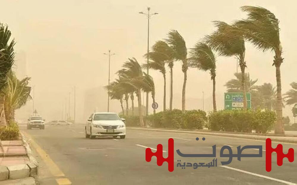 بسرعة تصل إلى (40-49) كلم/ساعة.. رياح نشطة على منطقة تبوك