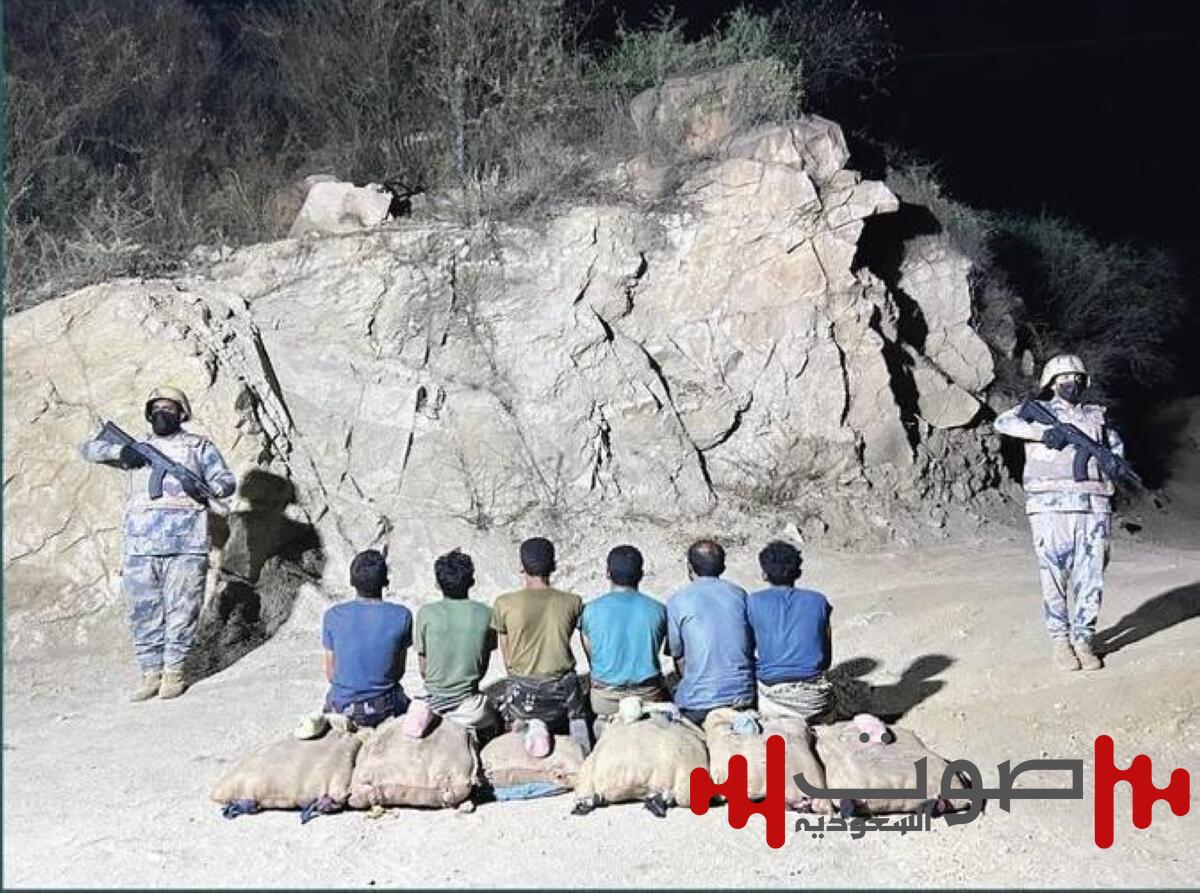جازان: القبض على 6 مخالفين لتهريبهم 90 كيلوغراماً من نبات القات